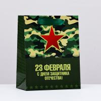 Пакет подарочный ламинированный 