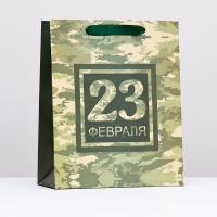 Пакет подарочный ламинированный 