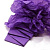 IP000017506